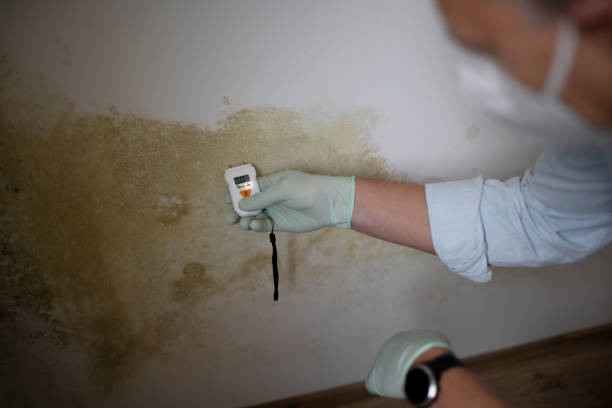 Cochituate, MA Mold Remediation Company